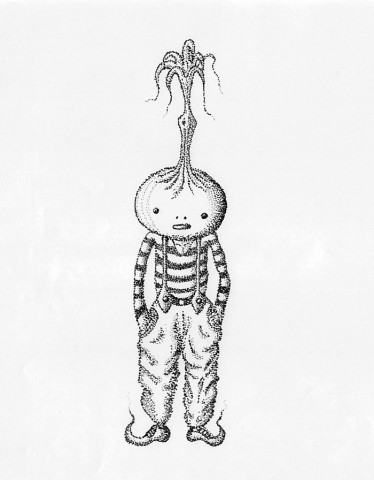 たまねぎぼうや